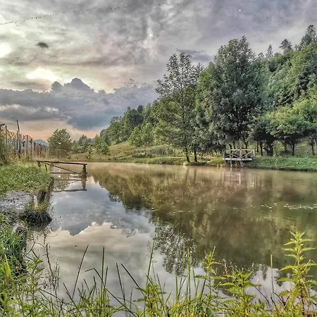 Pensiunea Lacul Arsitei Pensiune Borşa