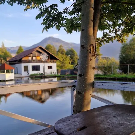 Pensiunea Lacul Arsitei *