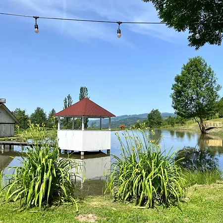 Pensiune Pensiunea Lacul Arsitei